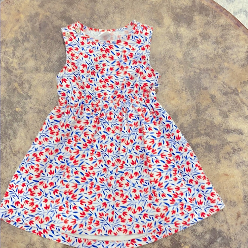 12-18 month dress.